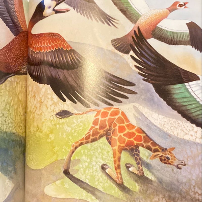 Giraffe Trouble