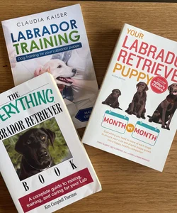 Collection: Labrador Training 