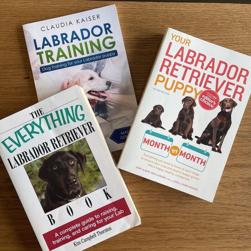 Collection: Labrador Training 