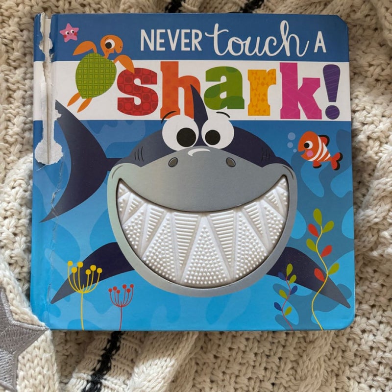 Never Touch a Shark!