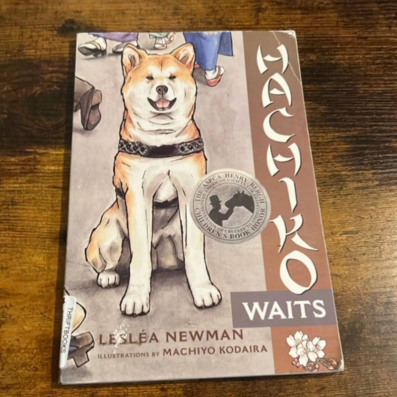 Hachiko waits 