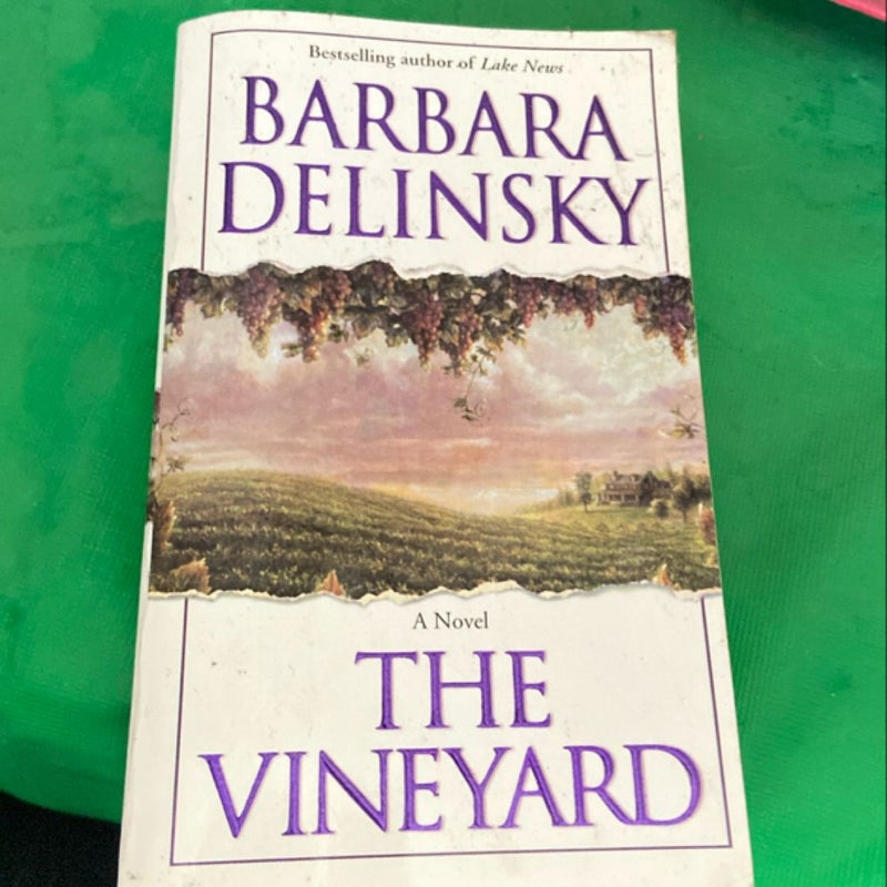 The Vineyard