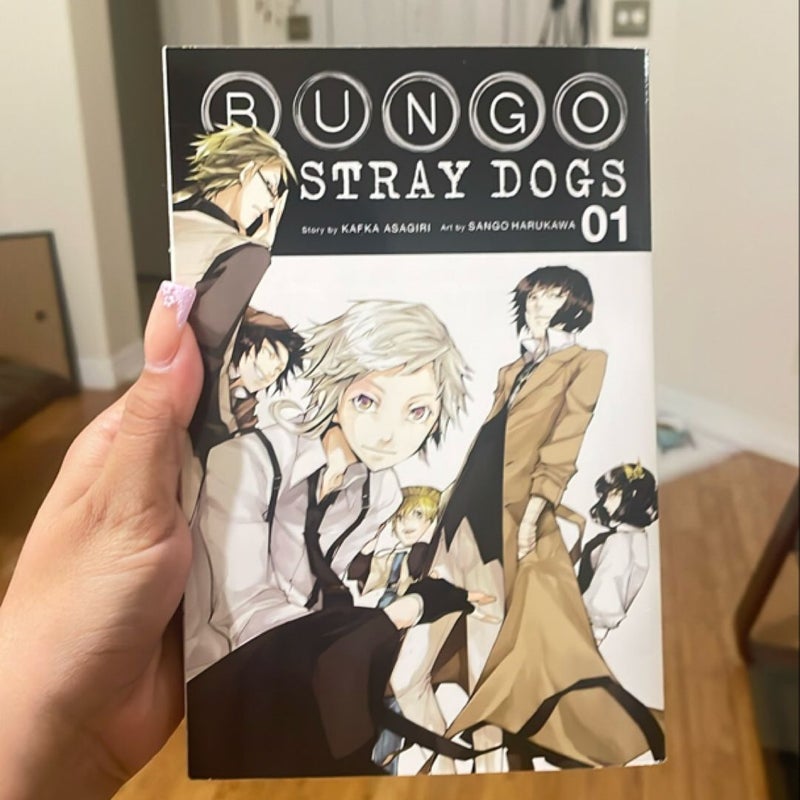 Bungo Stray Dogs, Vol. 1