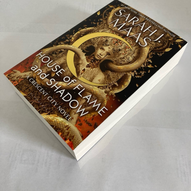 House of Flame and Shadow UK Paperback Edition 