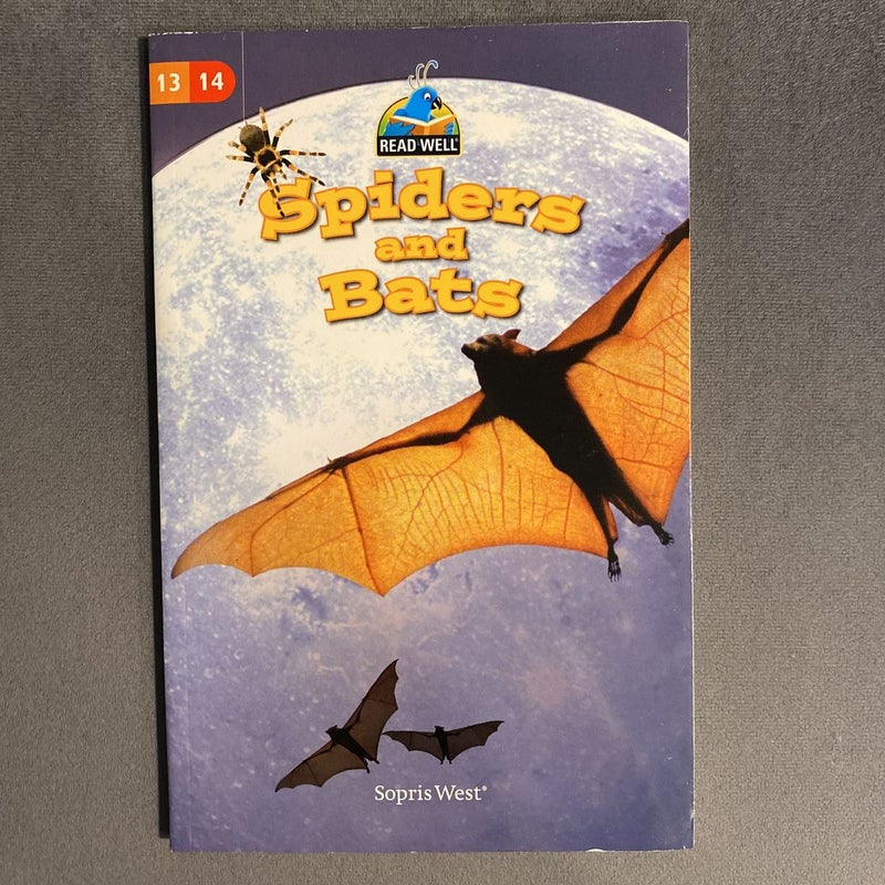 Spiders And Bats