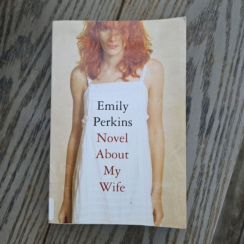 Novel about My Wife