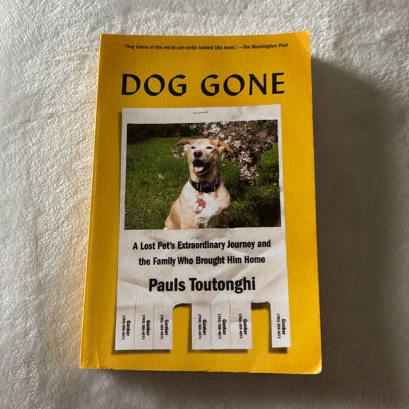 Dog Gone