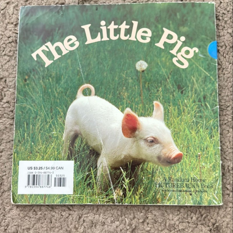 The Little Pig