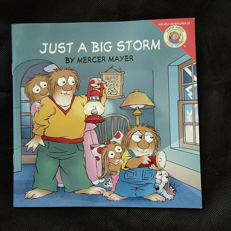 Little Critter: Just a Big Storm