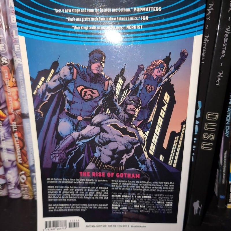 Batman Vol 1 I Am Gotham