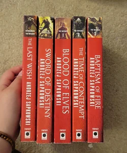 The Witcher (5 books)