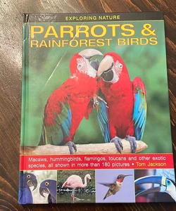 Parrots and Rainforest Birds