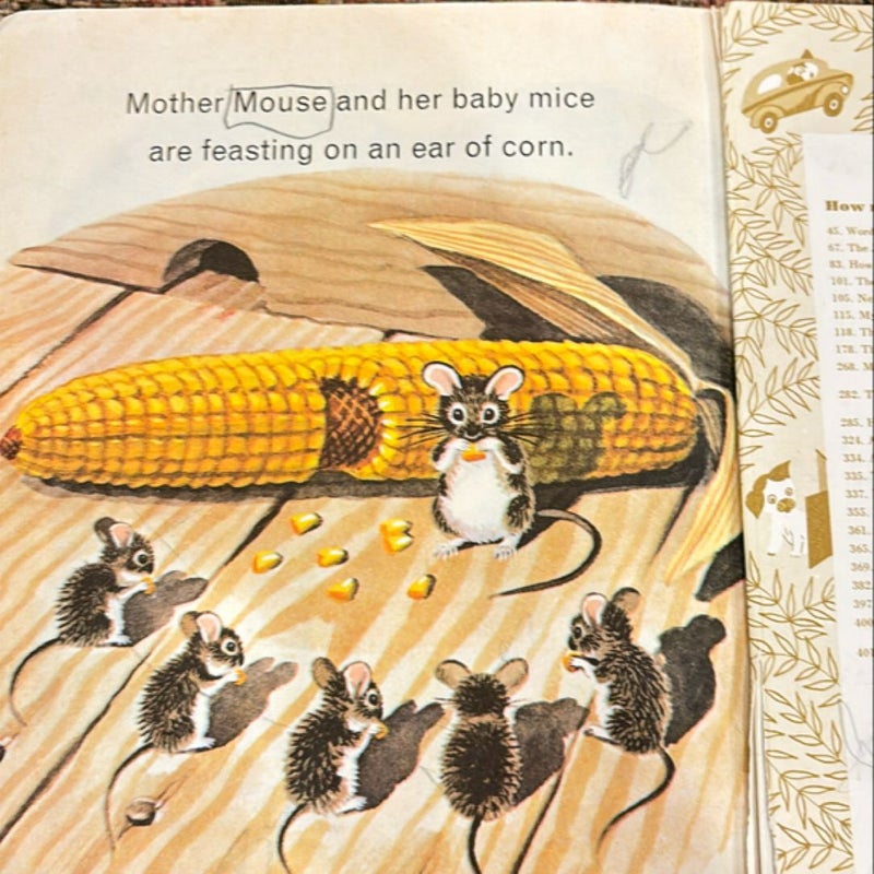 Animals on the Farm