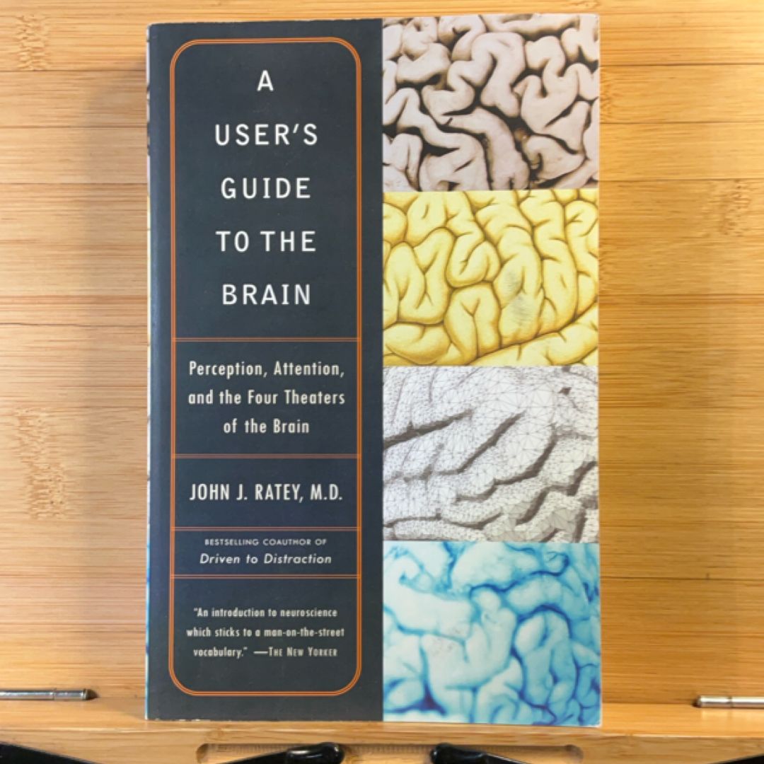 A User's Guide to the Brain