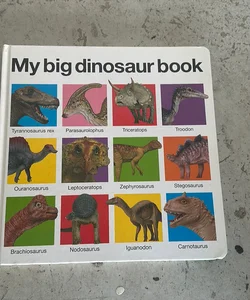 My Big Dinosaur Book
