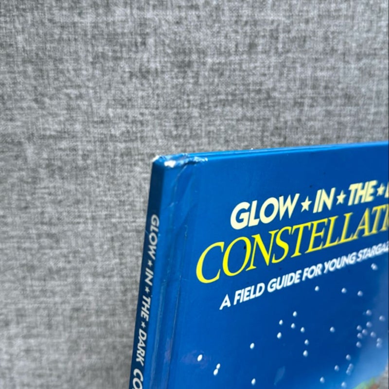 Glow-In-the-Dark Constellations