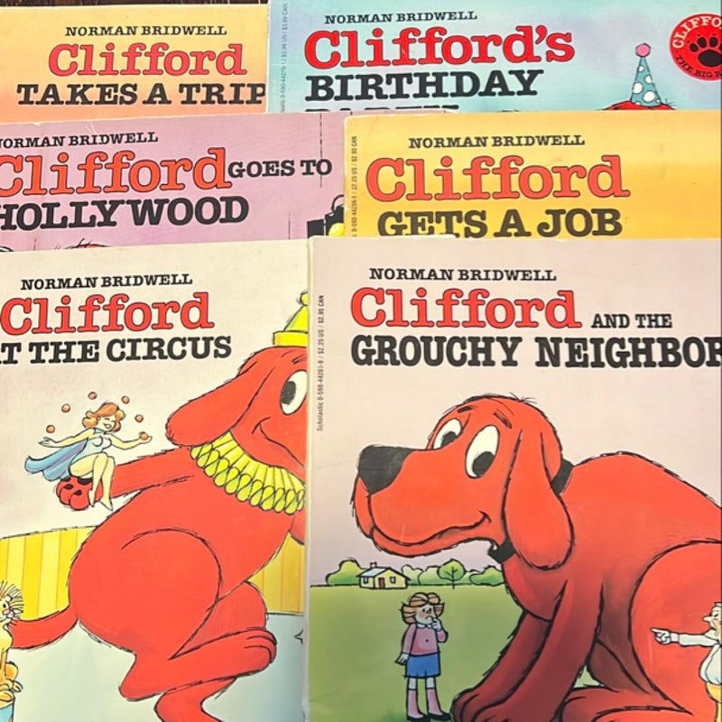 Clifford Bundle