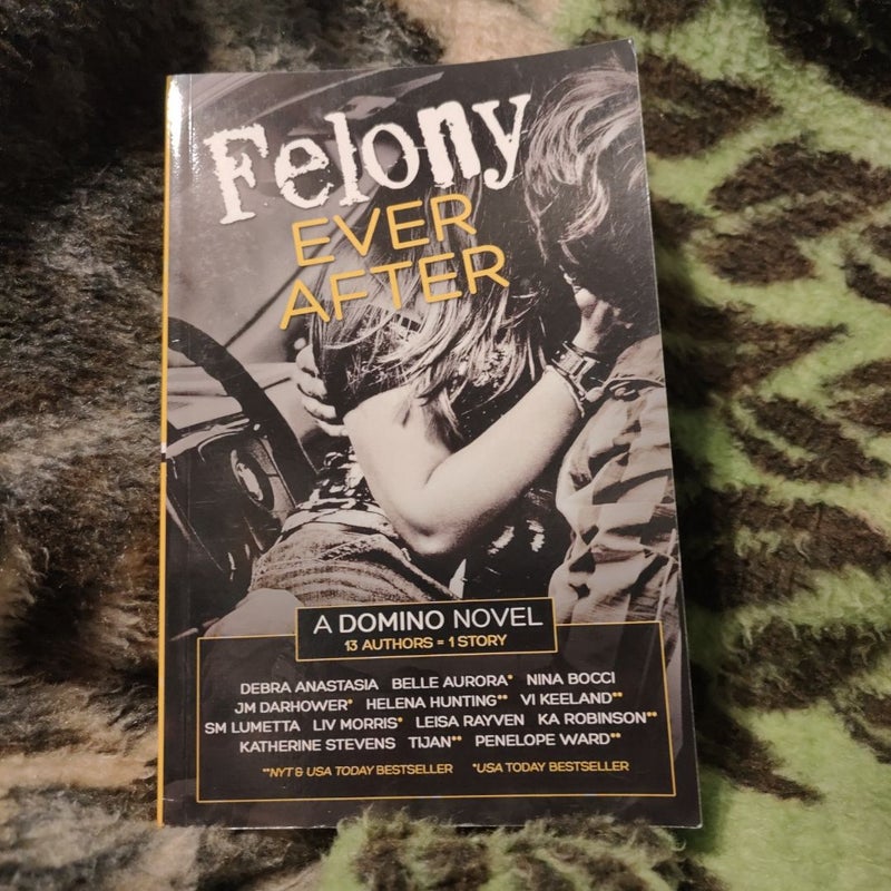 Felony Ever After