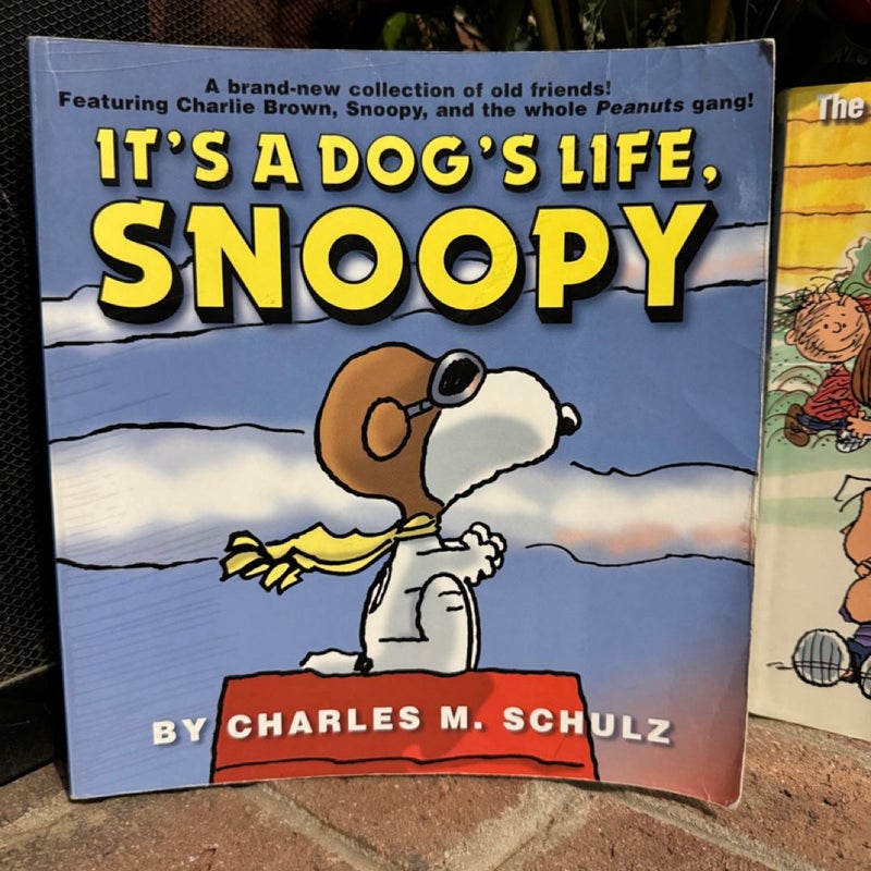 Peanuts Book Bundle 