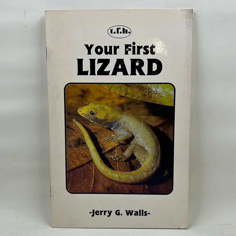 Your first lizard