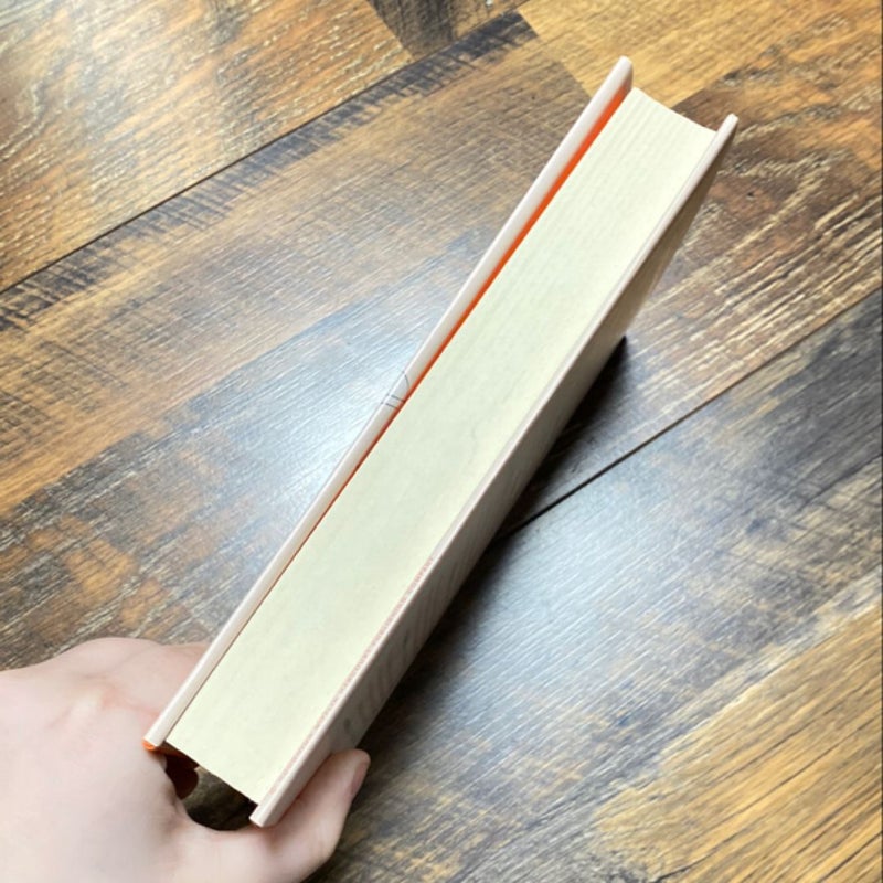 The Very Nice Box
