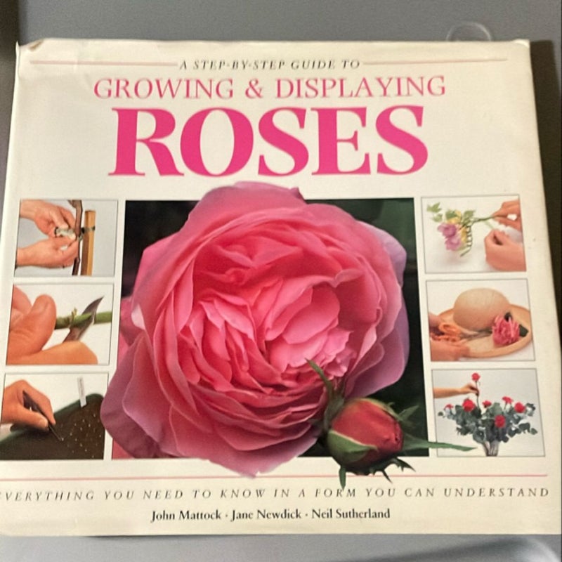 Step-by-Step Guide to Growing and Displaying Roses