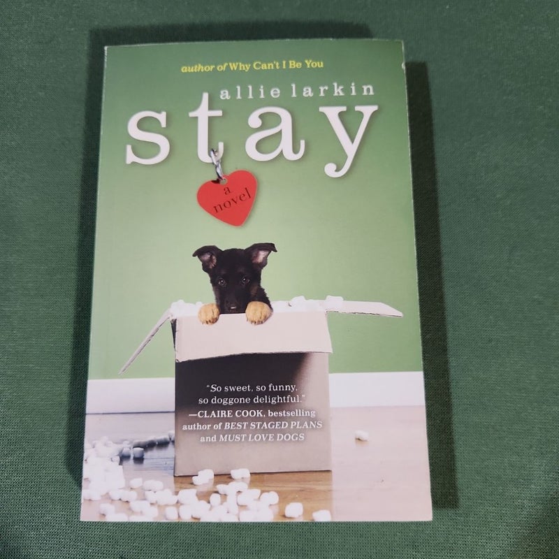 Stay