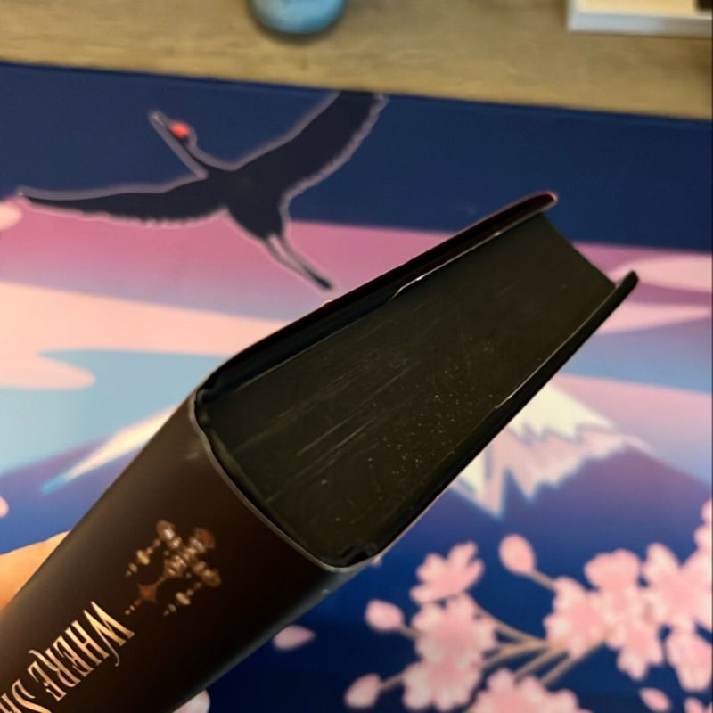 Where Shadows Meet - MARCH 2025 FAIRYLOOT
