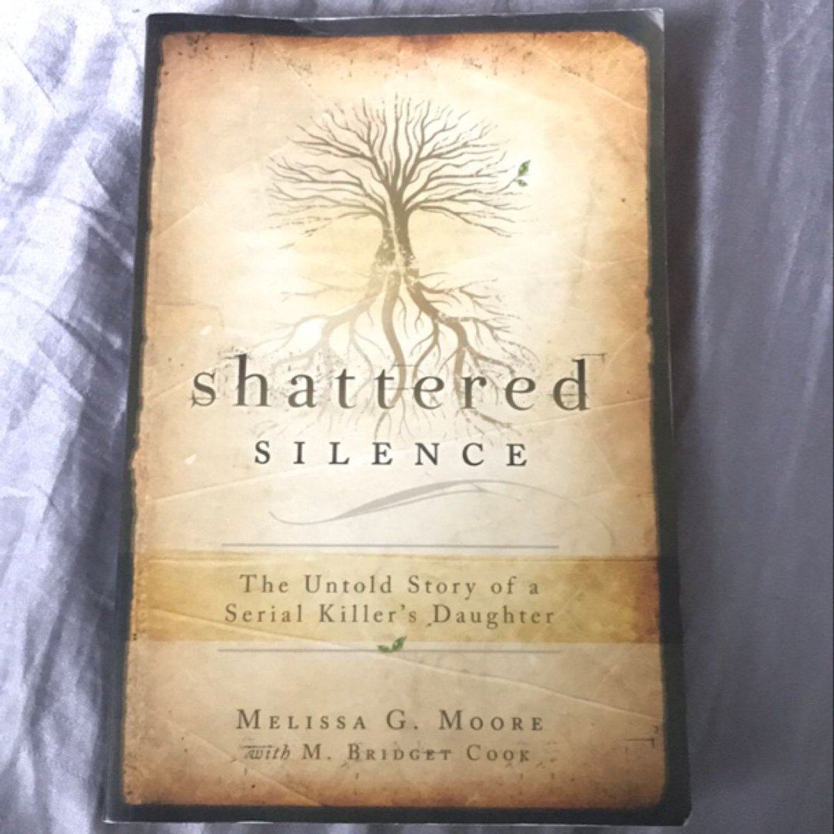 Shattered Silence by Melissa G. Moore, M. Bridget Cook