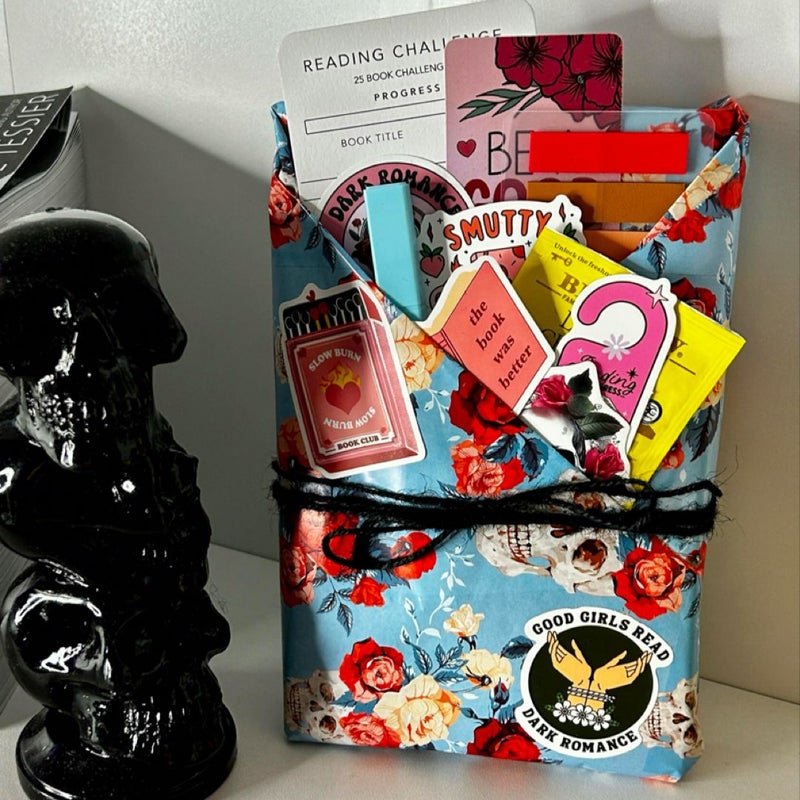 Dark Romance Blind Date with a Book | Book Lover, Book Gift, Book Club, Romance, Horror, Bookworm Gift, Thriller, Smut Reader