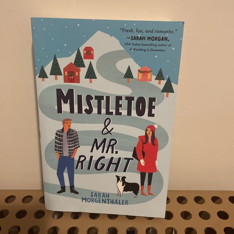 Mistletoe and Mr. Right