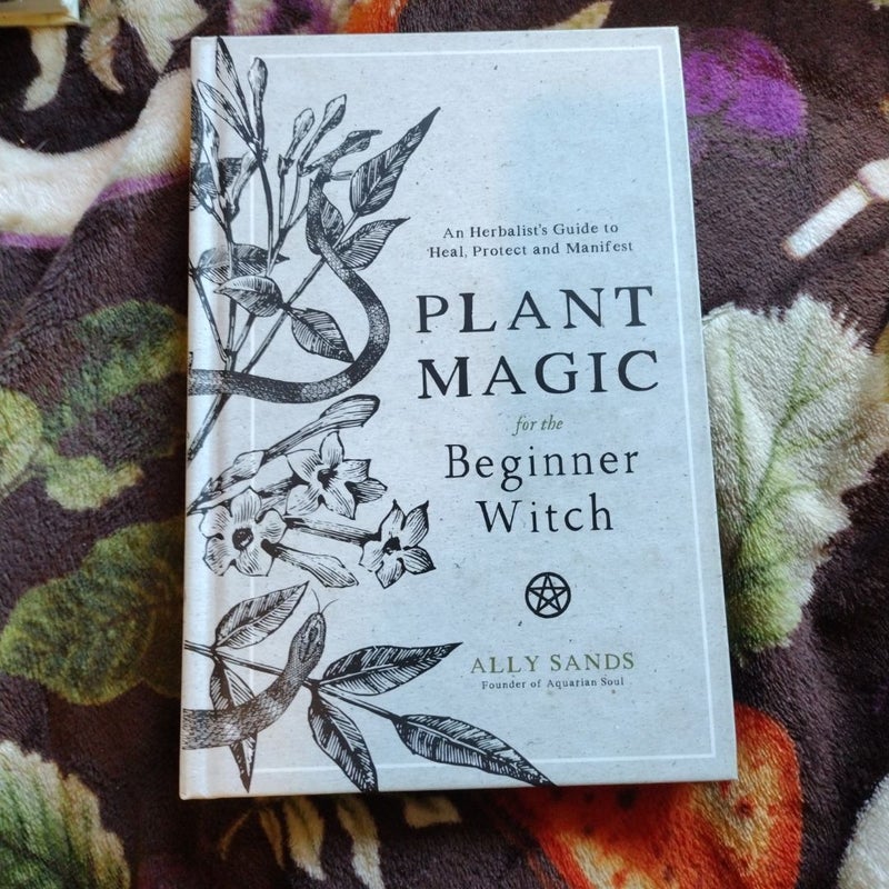 Plant Magic for the Beginner Witch