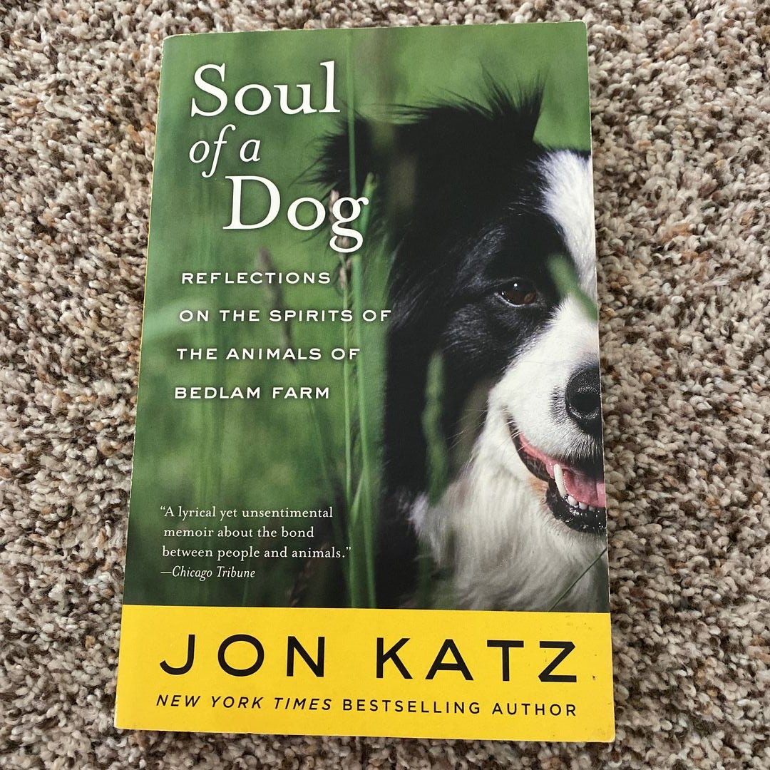 Soul of a Dog