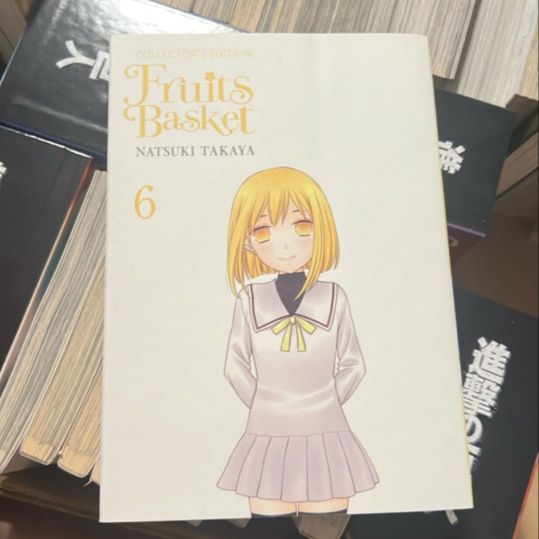 Fruits Basket Collector's Edition, Vol. 6