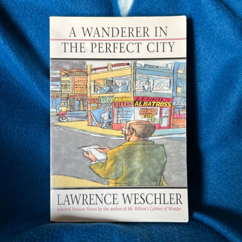 A Wanderer in the Perfect City