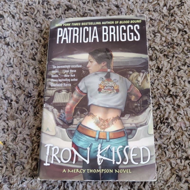 Iron Kissed (Book 3 of 13)
