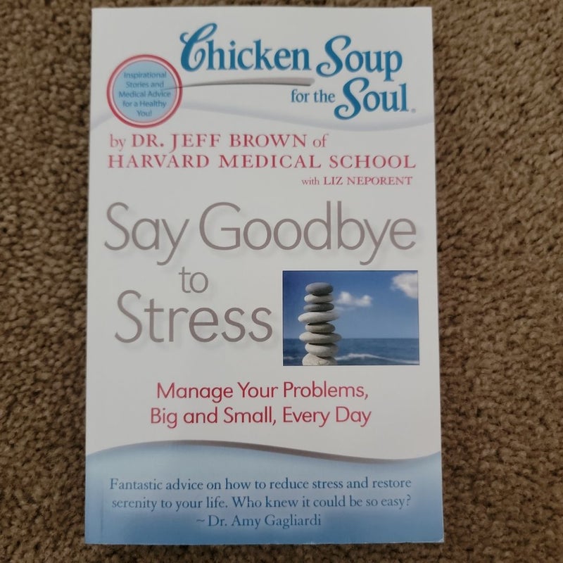 Chicken Soup for the Soul: Say Goodbye to Stress