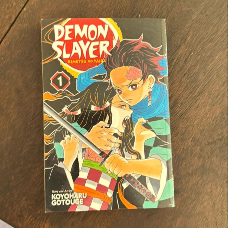 Demon Slayer: Kimetsu No Yaiba, Vol. 1