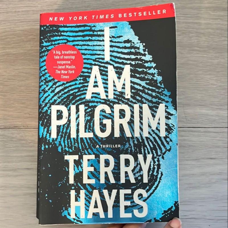 I Am Pilgrim