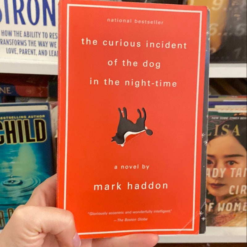 The Curious Incident of the Dog in the Night-Time