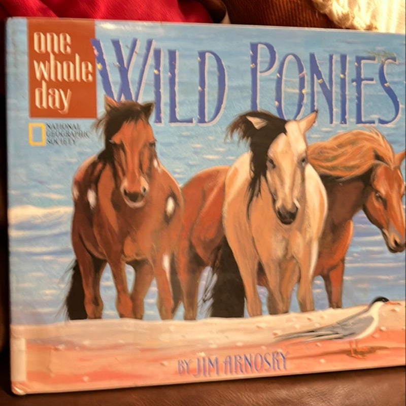 Wild Ponies