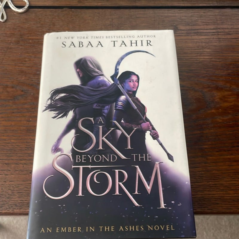 A Sky Beyond the Storm
