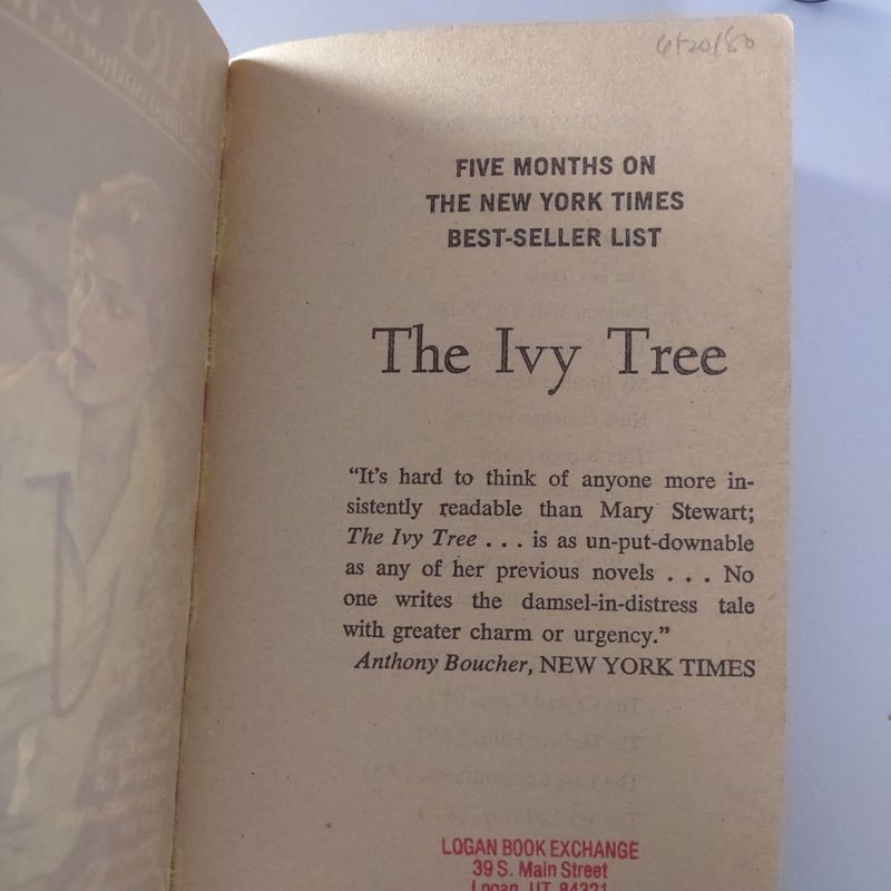 VINTAGE 1961 The Ivy Tree