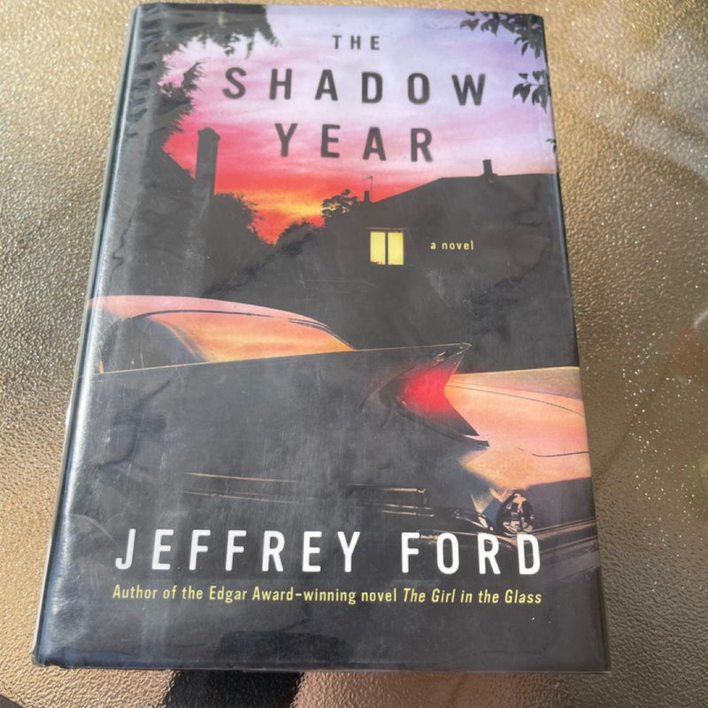 The Shadow Year