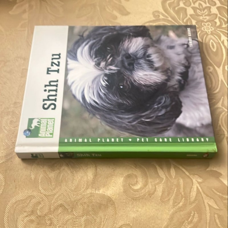 Shih Tzu