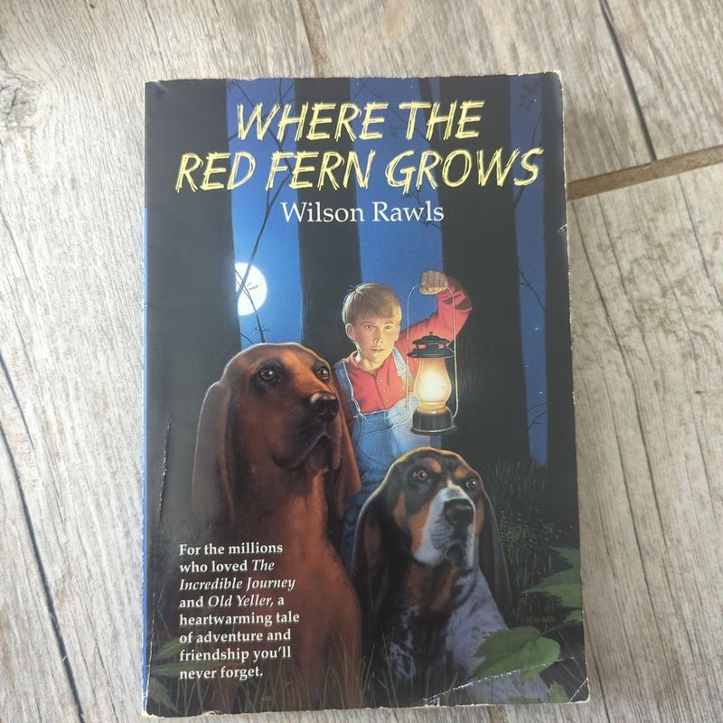 Where the Red Fern grows