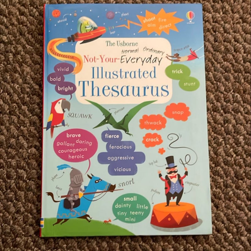 Not your everyday illustrated thesaurus 