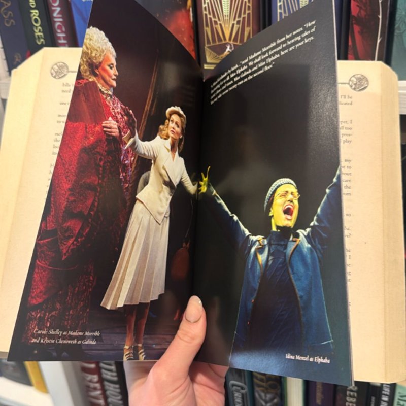 Wicked Musical Tie-In Edition