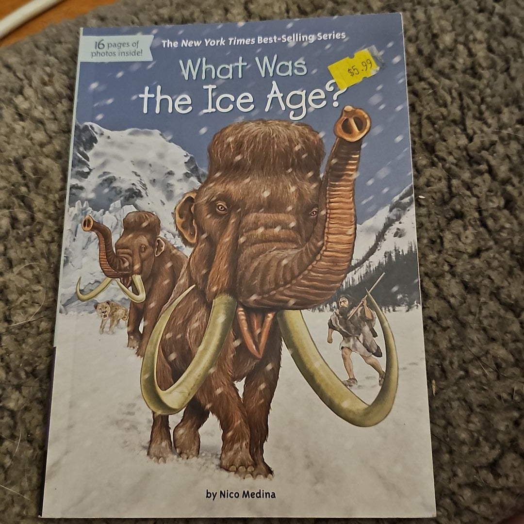 What Was the Ice Age? by Nico Medina, Paperback Pango Books