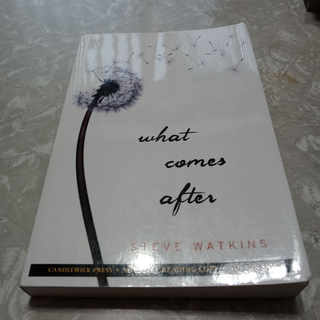 What Comes After